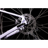 Kép 5/10 - CUBE ACCESS WS EAZ 29" (20) 2022 MTB kerékpár