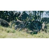 Kép 10/12 - cube-stereo-one55-c62-tm-dustyolive-n-gold-2025-fully-carbon-mtb-kerekpar-837300-S