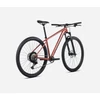 Kép 2/3 - mtb-kerekpar-orbea-onna10-terra-03