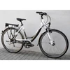 Kép 4/9 - dynamics-roadking-lite-trekking-kerekpar-3