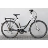 Kép 1/9 - dynamics-roadking-lite-trekking-kerekpar