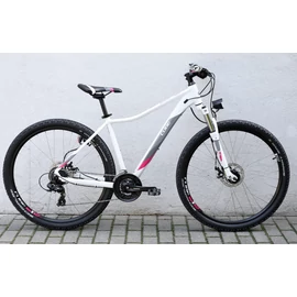 cube-access-ws-allroad-mtb-kerekpar-L