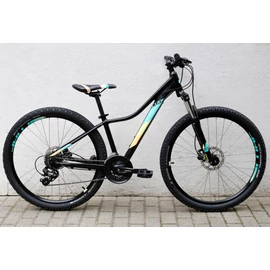 cube-access-ws-eaz-mtb-kerekpar