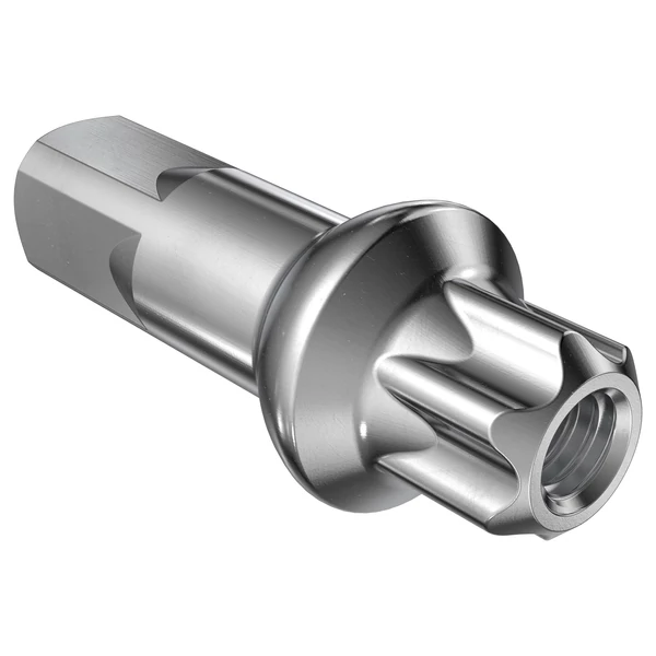 dt-swiss-rez-squorx-pro-head-ezust-15mm-kulloanya