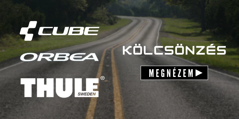 Kölcsönzés